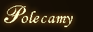 Polecamy